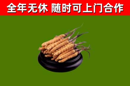 北碚区烟酒回收冬虫夏草.jpg