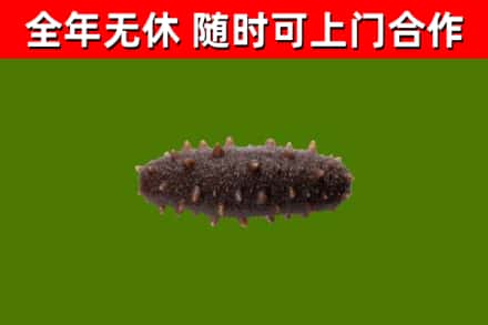 北碚区烟酒回收干海参.jpg